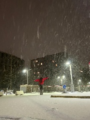 𝙈𝙞𝙨𝙖𝙠𝙞 's avatar