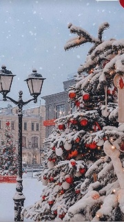 Good vibes 🎄's avatar