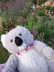 Koko’s vlog's avatar