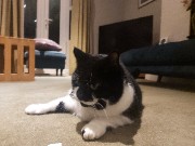 Bubbles🫧🩰's avatar