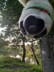 Elziņa 💗's avatar