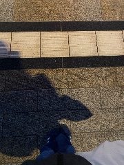 Secrets 🤫's avatar