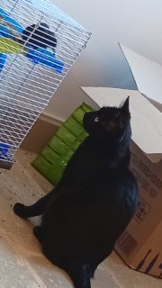 Neige 83🌿🥢's avatar