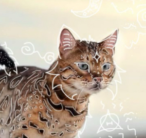 Lᥱïᥣꪖ's avatar