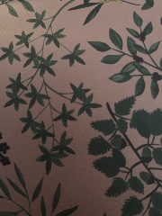 Hana&Hazel🎧's avatar