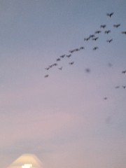 ♡ Write me ♡'s avatar