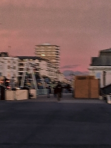 jess 🤍🎄's avatar