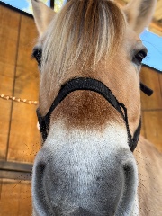 Sara🫶🏽's avatar