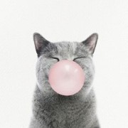 𝐟𝐢𝐥𝐦𝐞𝐝𝐛𝐲𝐛𝐫𝐢𝐞🤍's avatar