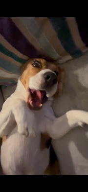 @autumnalaesthetic's avatar