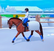 Le Centre Équestre •du Lin•'s avatar