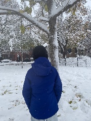 ❄️Ali 🫧🎧!'s avatar