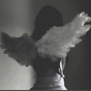 Anti K-pop Hate's avatar