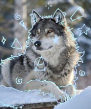 Lury🎀🌙's avatar