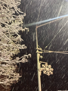 filmedbytuix's avatar