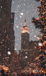 ☆🎄🧸~CoNsIgLi~🧸🎄☆'s avatar