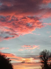 ❄️🐺Winter🐺❄️'s avatar