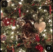 𝐆𝐥𝐨𝐰 𝐔𝐩's avatar