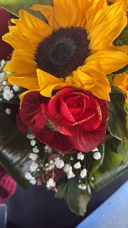 Anonima ♾️'s avatar