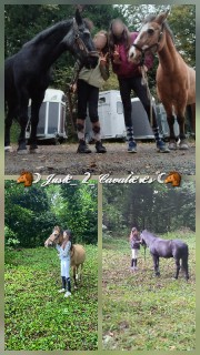 🌸🐴Crins &Copines🌸🐴's avatar