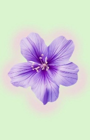 Juste 3 sœurs 🌊✨'s avatar