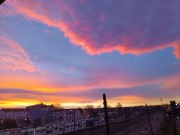 Abigail 🧸🍯✨'s avatar