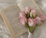 Clean Girl Vibes 's avatar